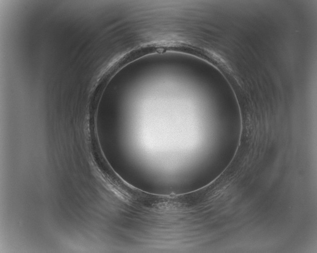 X0000068720535200605010936