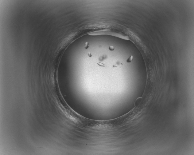 X0000068720537200605010936