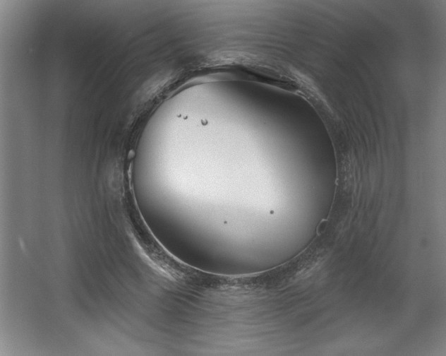 X0000068720538200605010936