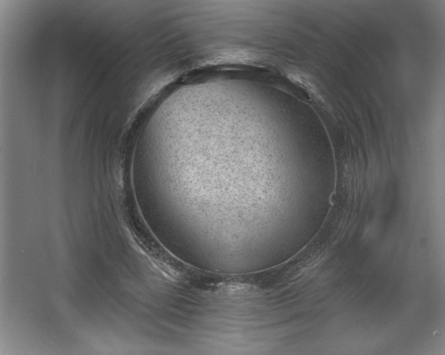 X0000068720539200605010936