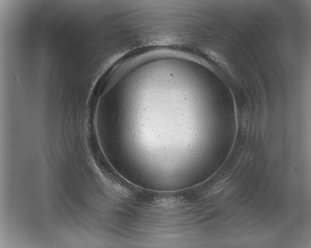 X0000068720540200605010936