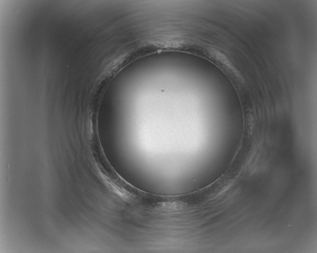 X0000068720541200605010936