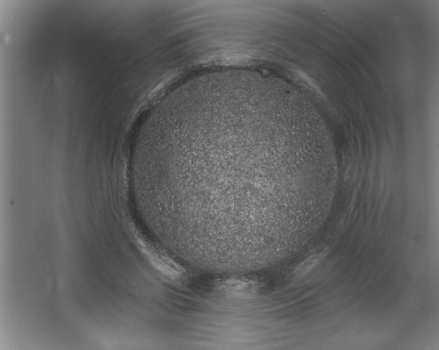 X0000068720542200605010936