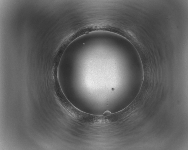 X0000068720543200605010936