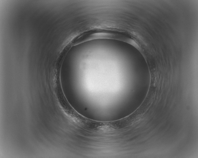 X0000068720544200605010936