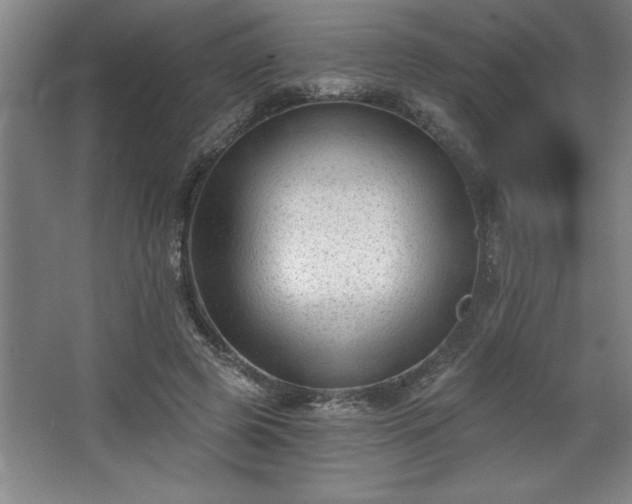 X0000068720545200605010936