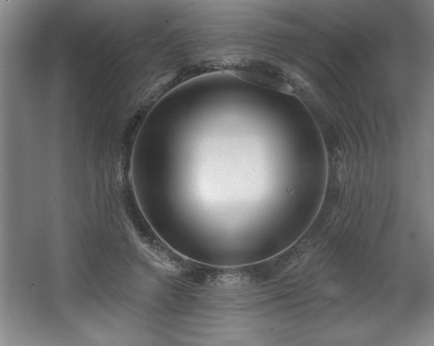 X0000068720546200605010936