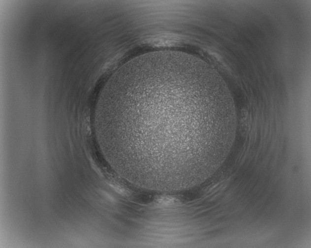 X0000068720547200605010936