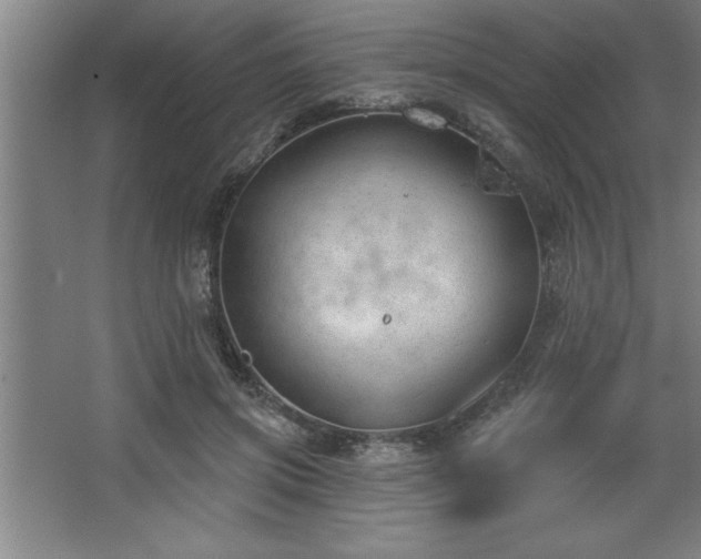 X0000068720549200605010936