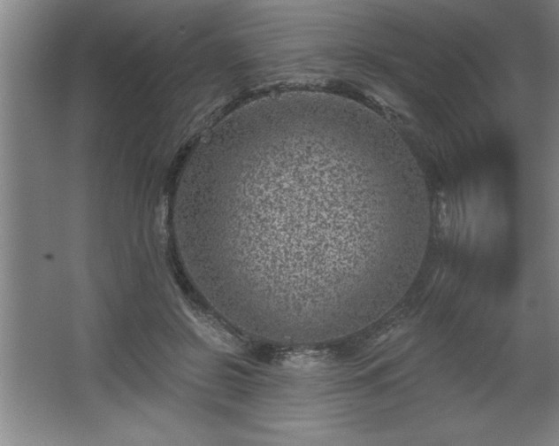 X0000068720550200605010936