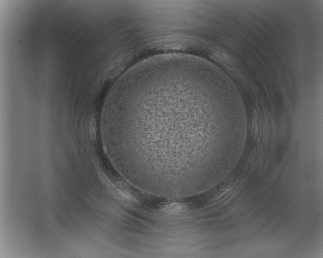 X0000068720551200605010936