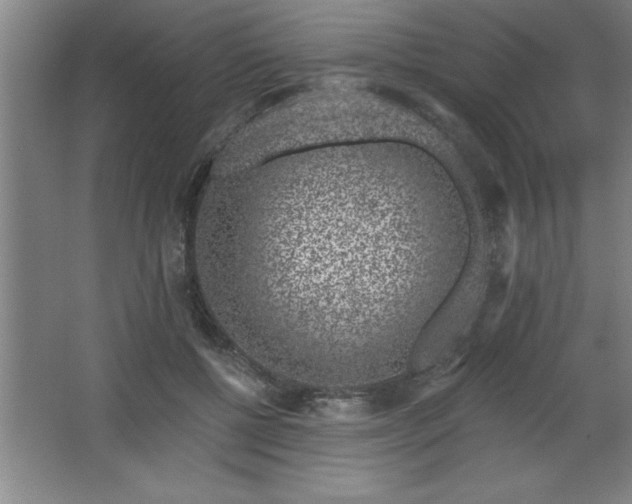 X0000068720552200605010936