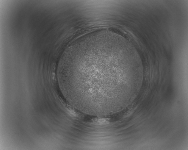 X0000068720553200605010936