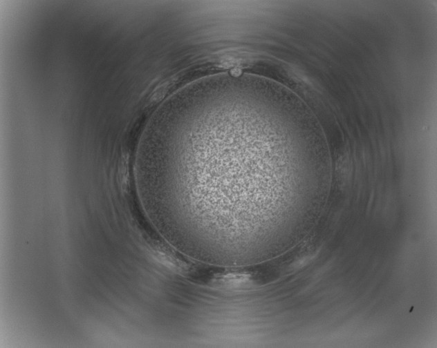 X0000068720554200605010936