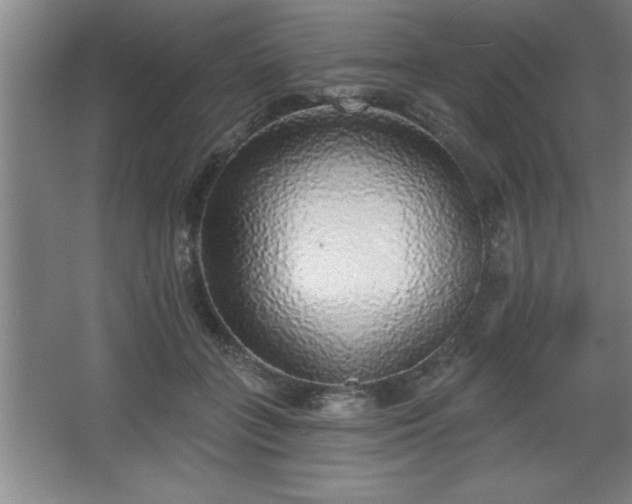 X0000068720555200605010936