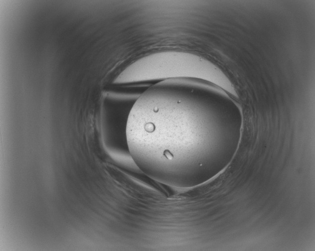 X0000068720556200605010936