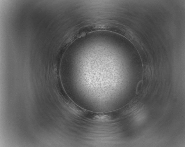 X0000068720557200605010936