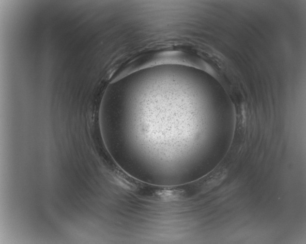 X0000068720558200605010936