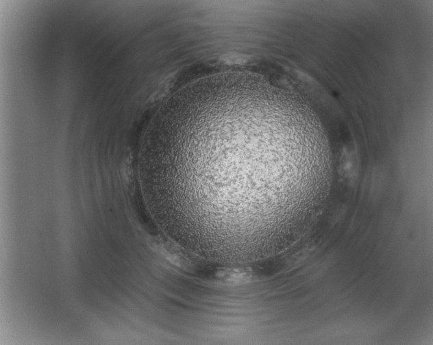 X0000068720559200605010936