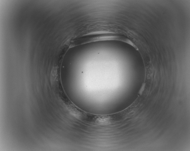 X0000068720560200605010936