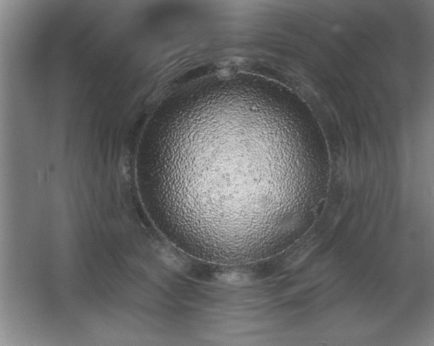 X0000068720561200605010936