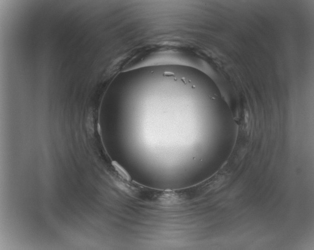 X0000068720562200605010936