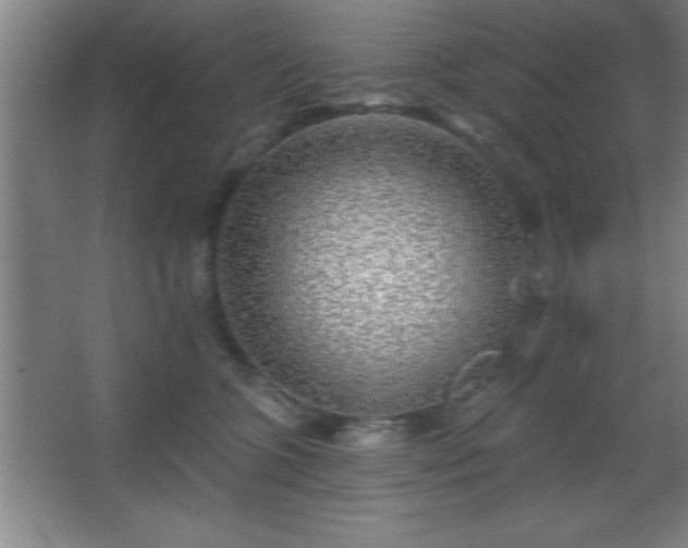 X0000068720563200605010936