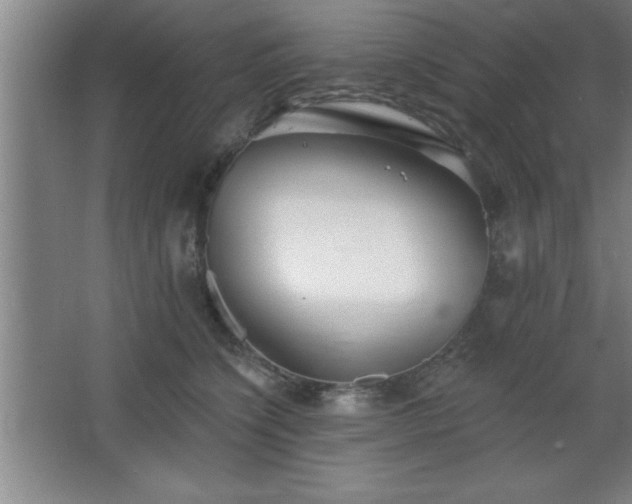 X0000068720564200605010936