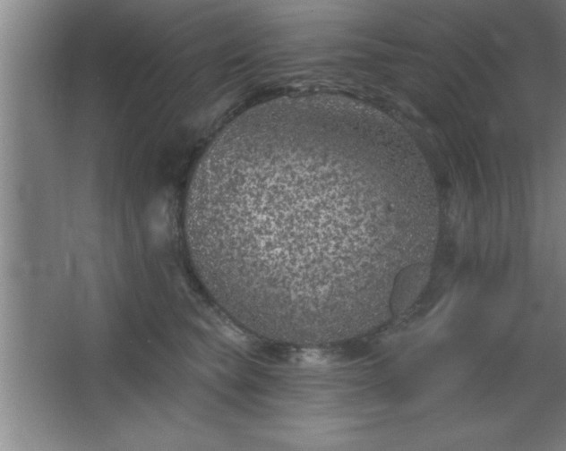 X0000068720565200605010936