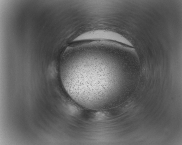 X0000068720566200605010936