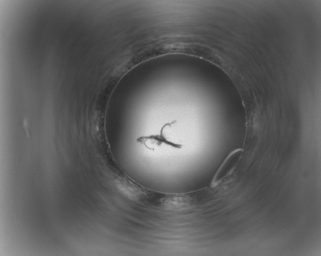 X0000068720567200605010936