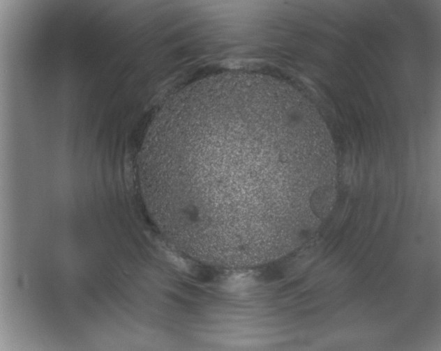 X0000068720569200605010936