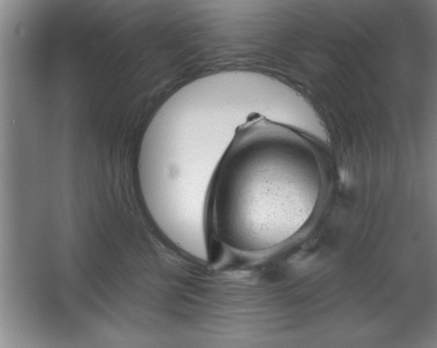 X0000068720570200605010936