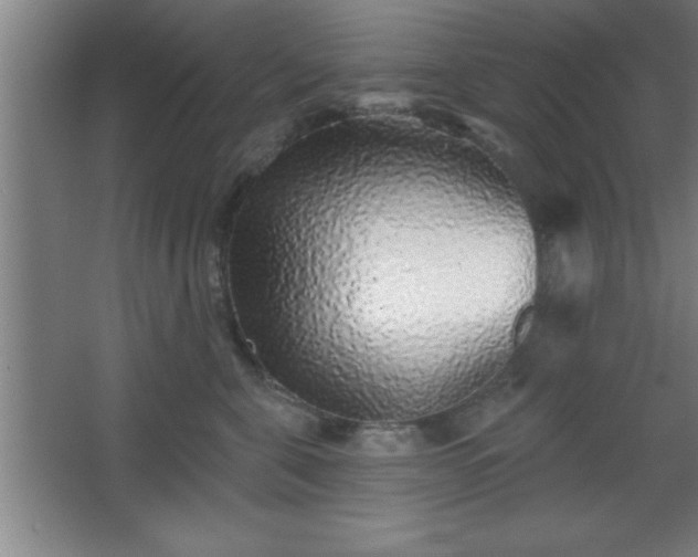 X0000068720571200605010936