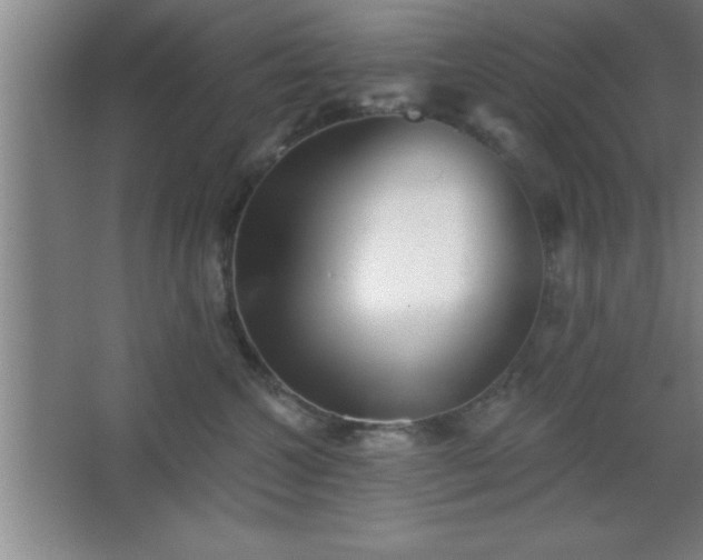 X0000068720572200605010936