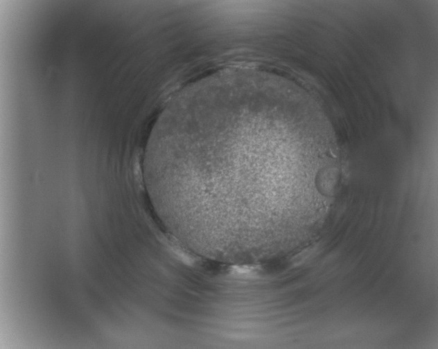 X0000068720573200605010936