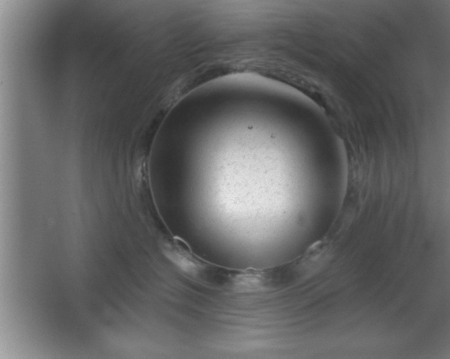 X0000068720574200605010936