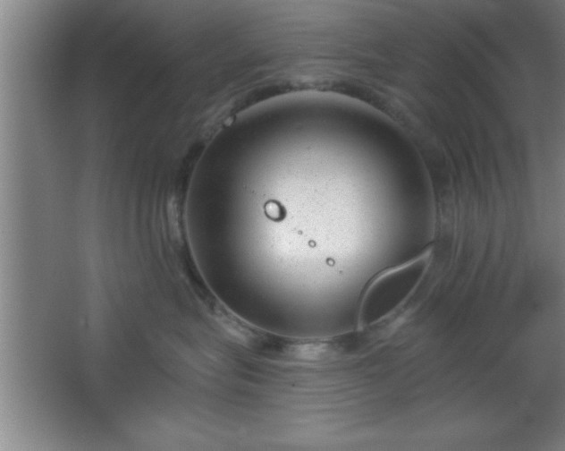 X0000068720575200605010936