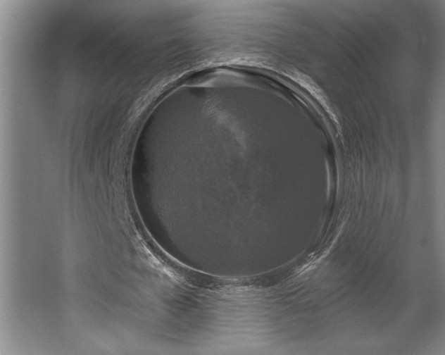 X0000068720577200605010936