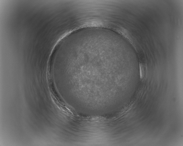 X0000068720579200605010936