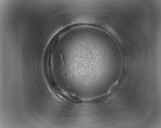 X0000068720580200605010936