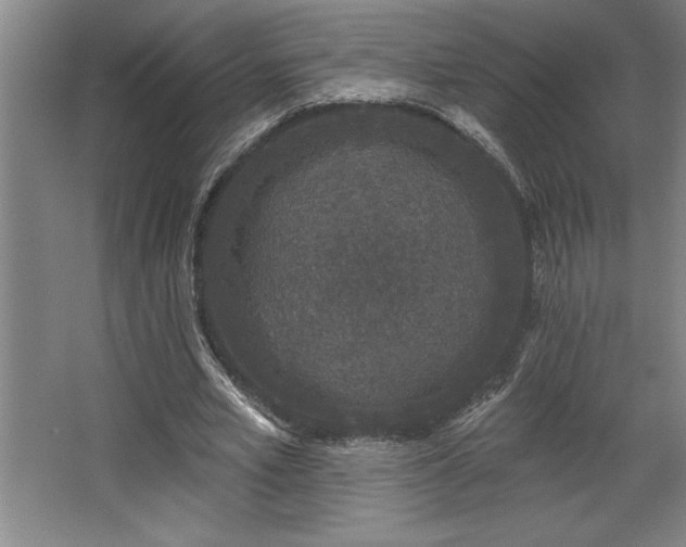 X0000068720581200605010936