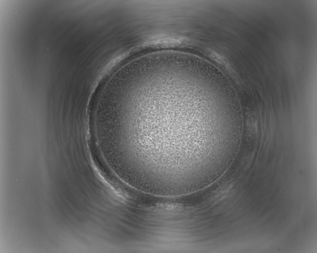 X0000068720582200605010936