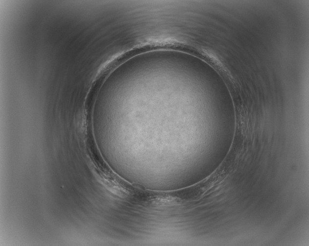 X0000068720583200605010936