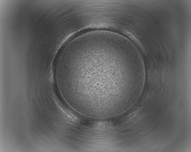 X0000068720584200605010936