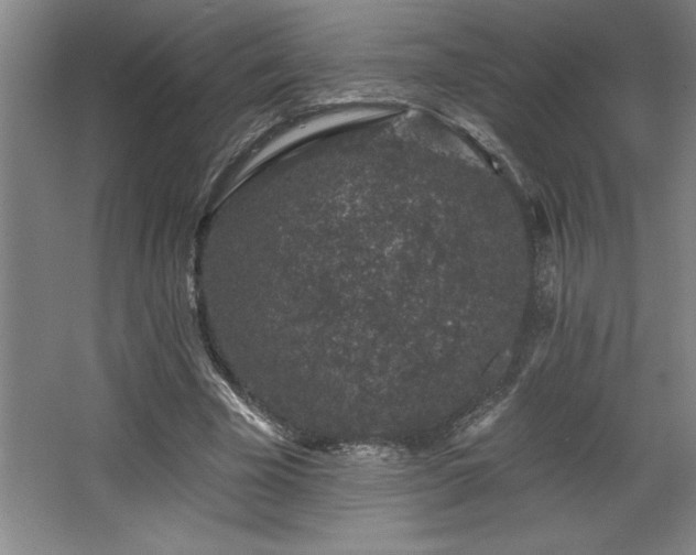 X0000068720585200605010936