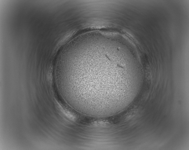 X0000068720586200605010935