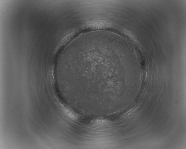 X0000068720590200605010935