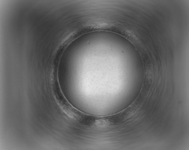 X0000068720591200605010935