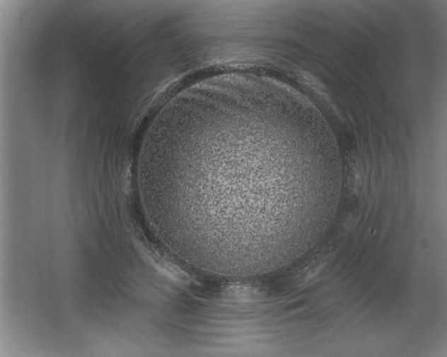 X0000068720596200605010935